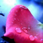 khalid ~bader - @khalid_bader5505 - Instagram