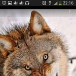 Khalid Hakim - @khalid.hakim.9026 - Instagram