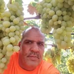 Khalid Hakim - @khalidhakim99 - Instagram