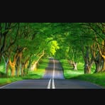 Khalid Hamid - Facebook