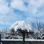 Khalid Hamid - @khalidhamid09 - Instagram