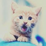 Khalid Owens - @contractkittener - Instagram
