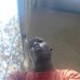 Khalid Yusuf - Facebook