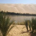 Khalid Zayed - @zayed4516 - Instagram