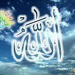 Khalid Zayed - @khalid.zayed65 - Instagram