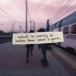 Khalid Zayed - @khalidzayed3 - Instagram
