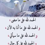 Khalida Saeed - @khalidaalobaiedy - Instagram