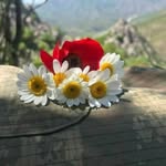 Khalida Saeed - @zoya96972022 - Instagram