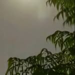 khalida Saeed - @khalida11296 - Instagram