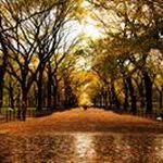 Khalif Abdi - @khalif214 - Instagram