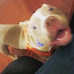 Khali Phillips - Facebook