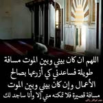 Khalil Barakat - @khalilbarakat94 - Instagram