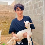 Mujtaba Khalil Farooqui - @mujtabakhalilfarooqui - Instagram