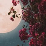 Khalil Hammoud - @hammoud6668 - Instagram