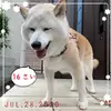 khalilhodgesnw3370 - @khalilhodgesnw3370 - TikTok