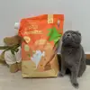 khalilhodgesry2907 - @khalilhodgesry2907 - TikTok