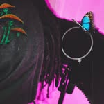 Khalil Lane - @vlonekhalilcamino - Instagram