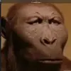 Khalil Morris - @khalil.morris - TikTok
