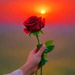khalil nouri - @khalilnouri46 - Instagram