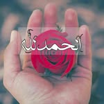 Khalil Nouri - @khalilnouri10 - Instagram