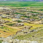 khalil safi - @khalilsafi40 - Instagram
