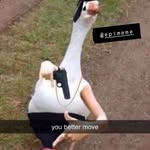 Khalil Santos - @memes4life0604 - Instagram