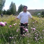 خلیل شهنازی - @khalilshahnazi - Instagram