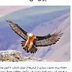 خلیل - @khalil.shahbakhsh123 - Instagram