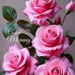 Khalil Shah - @khalilshah9868679023 - Instagram