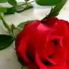 Khan Jan - @khanjan789 - TikTok
