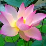 Lực Khánh - @khanhluc379 - Instagram
