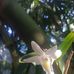 Khanh Trung Thach - Facebook