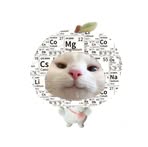 Khanh Tu - Facebook