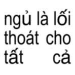 Khanh Tu - Facebook