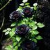 Khari Smith - Facebook