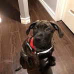 Khari Walker - Facebook