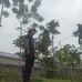Khiem Bui - Facebook