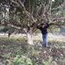 Khiem Bui - Facebook