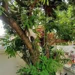 Khien Tran - @khien1723 - Instagram
