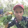 Khiet Le - @2176478886 - TikTok