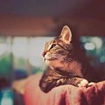 Khine Lwin - @lwin.khine - Instagram