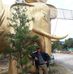 Khoa Tạ - Facebook