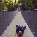 Khoa Tu - @khoakii - Instagram