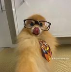 Khoa Vo - Facebook