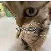 khoavo1206_ - @khoavo1206_ - TikTok