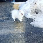Khoua Yang - @yangkhoua - Instagram