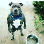 Khris Taylor - @khris.taylor - Instagram
