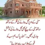 Khursheed Begum - @khurseed.begum - Instagram