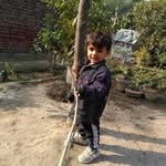 Khursheed Begum - @khursheedbegum55 - Instagram