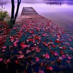 Khursheed Begum - @khursheed.begum.9250 - Instagram